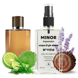 MINOR Acqua di Gio Absolu 100ml France