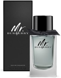Burberry Mr. Burberry 100 ml